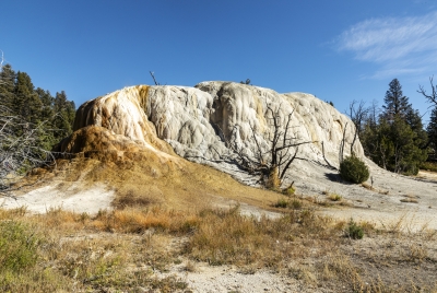 Mammoth Yellowstone NP 2024